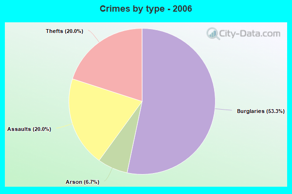 Crimes by type - 2006