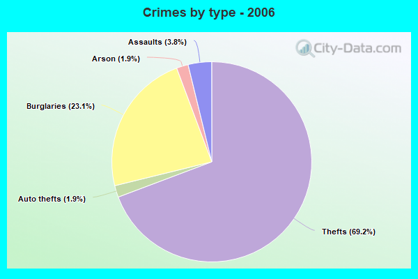 Crimes by type - 2006