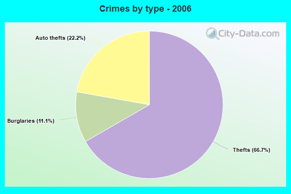 Crimes by type - 2006