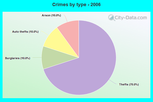 Crimes by type - 2006