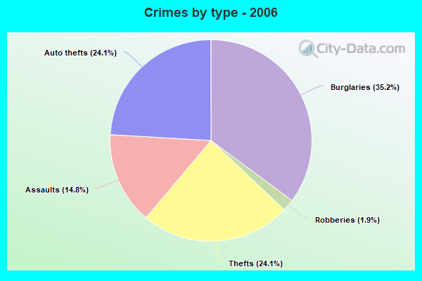 Crimes by type - 2006