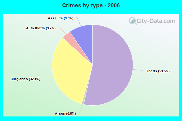 Crimes by type - 2006