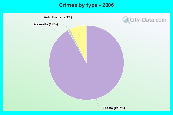 Crimes by type - 2006