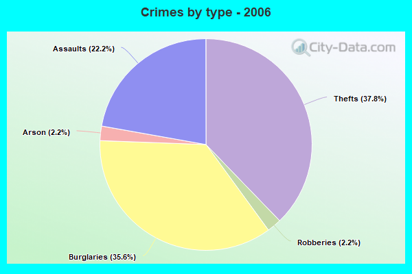 Crimes by type - 2006