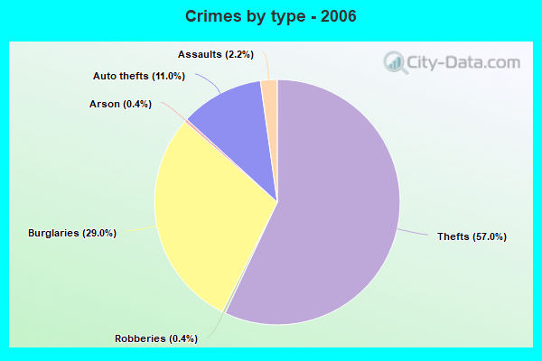 Crimes by type - 2006