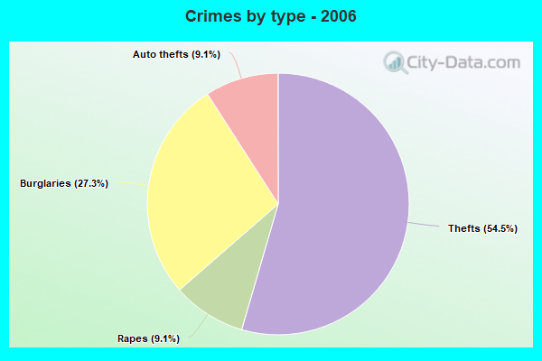 Crimes by type - 2006