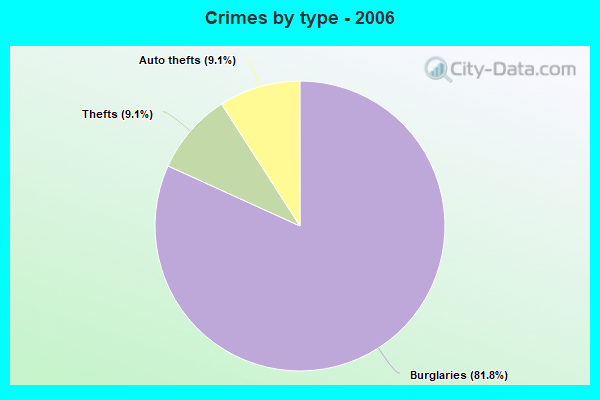 Crimes by type - 2006