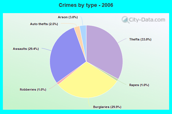 Crimes by type - 2006