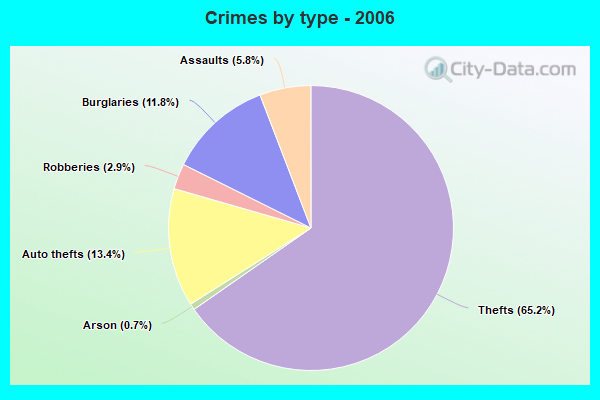 Crimes by type - 2006