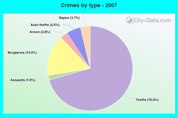 Crimes by type - 2007