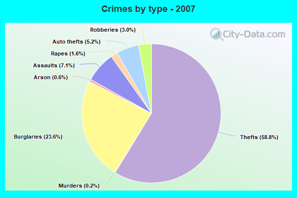 Crimes by type - 2007