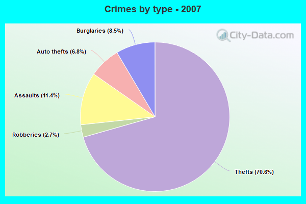 Crimes by type - 2007