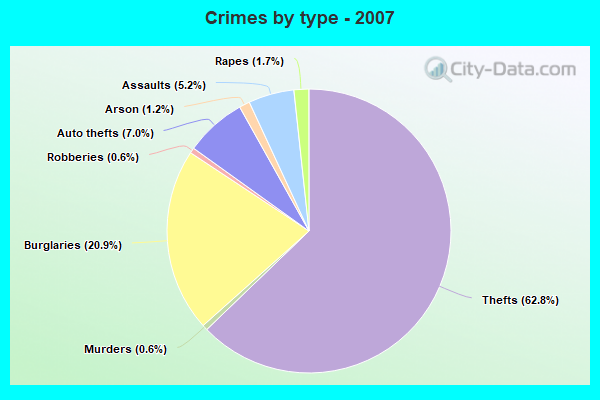 Crimes by type - 2007