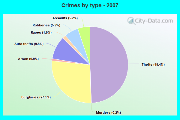 Crimes by type - 2007