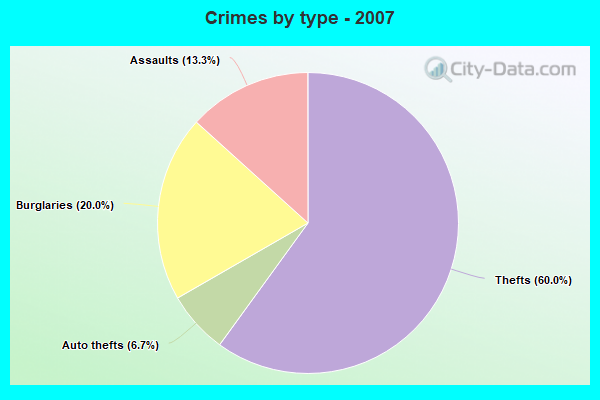 Crimes by type - 2007