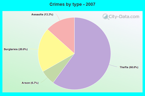 Crimes by type - 2007