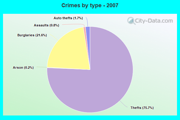 Crimes by type - 2007