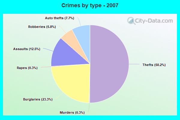 Crimes by type - 2007