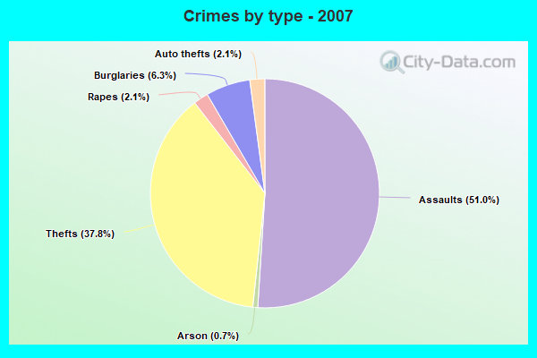 Crimes by type - 2007