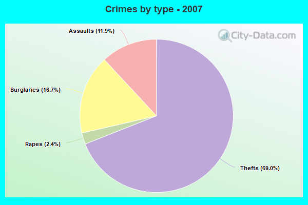 Crimes by type - 2007