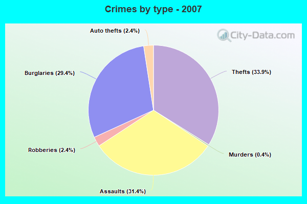 Crimes by type - 2007