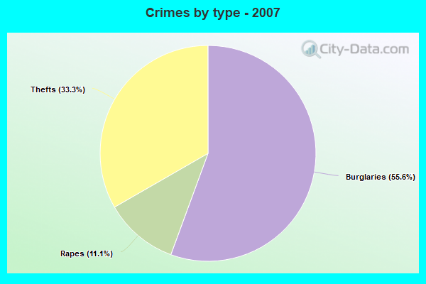 Crimes by type - 2007