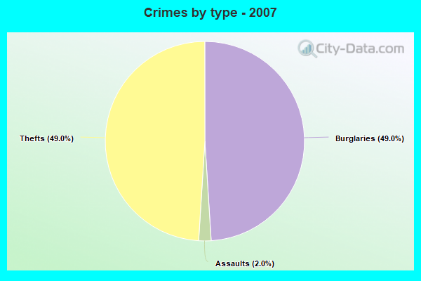 Crimes by type - 2007