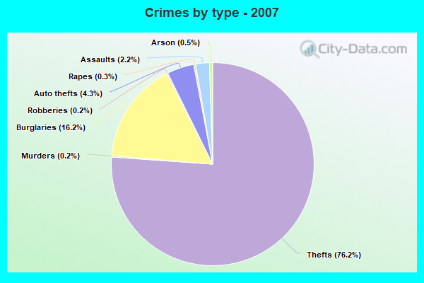 Crimes by type - 2007