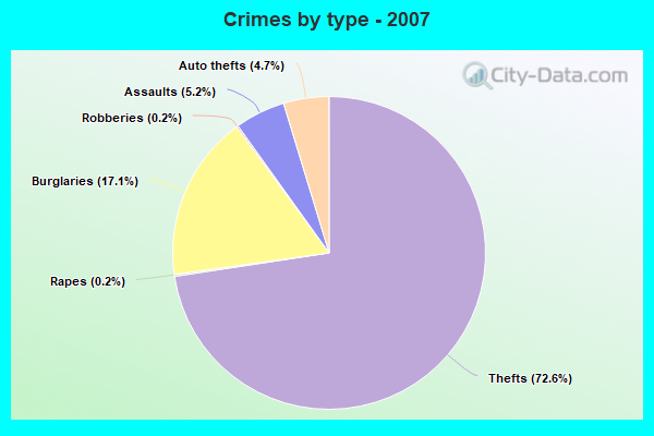 Crimes by type - 2007