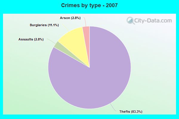 Crimes by type - 2007