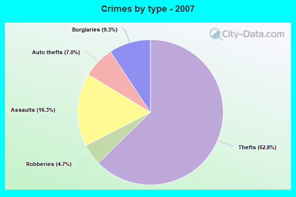 Crimes by type - 2007