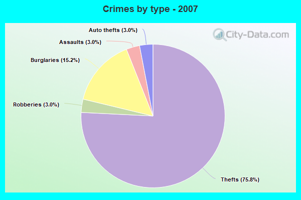 Crimes by type - 2007