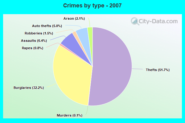 Crimes by type - 2007