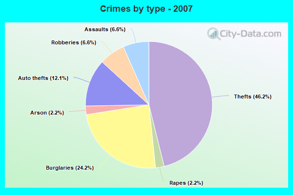 Crimes by type - 2007