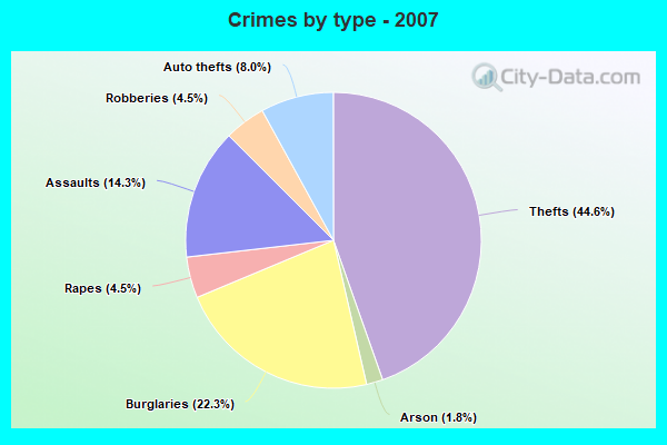 Crimes by type - 2007