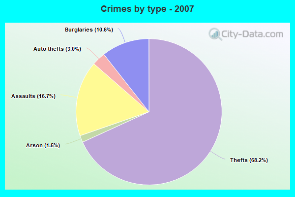 Crimes by type - 2007