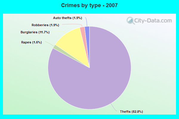 Crimes by type - 2007