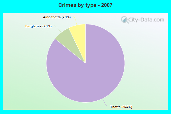 Crimes by type - 2007