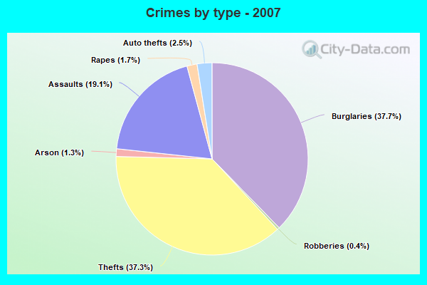 Crimes by type - 2007