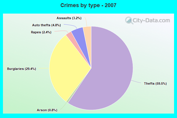 Crimes by type - 2007