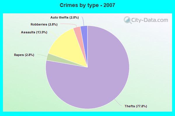 Crimes by type - 2007