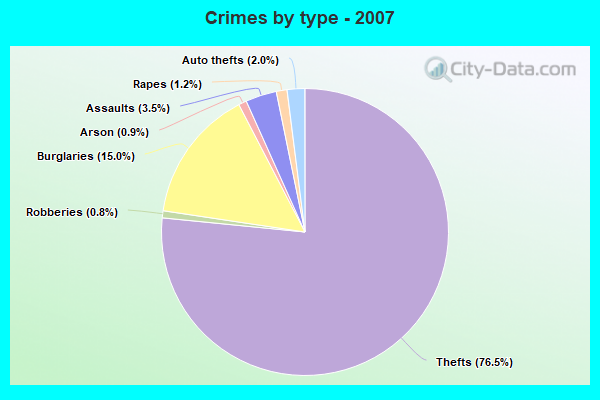 Crimes by type - 2007