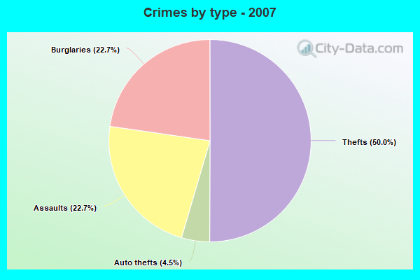 Crimes by type - 2007