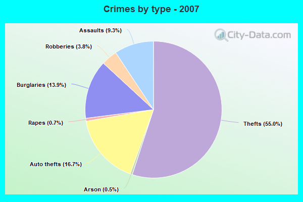 Crimes by type - 2007