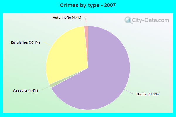 Crimes by type - 2007