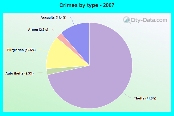 Crimes by type - 2007