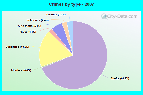 Crimes by type - 2007