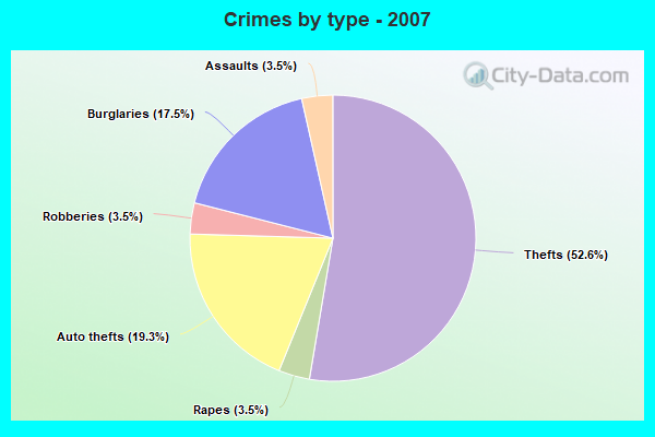 Crimes by type - 2007