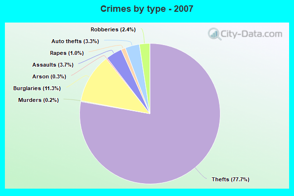 Crimes by type - 2007