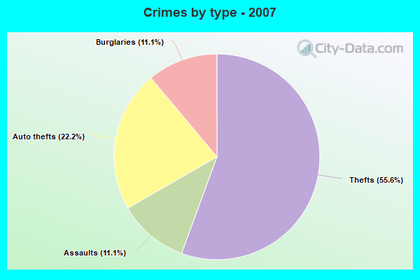 Crimes by type - 2007